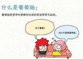 葡萄胎是什么？葡萄胎早期症状和形成的原因