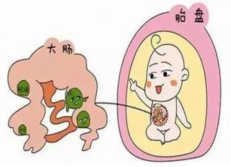 分娩吃什么能加快产程 这些食物来帮你