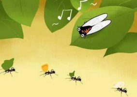蚂蚁和蝉的故事及寓意