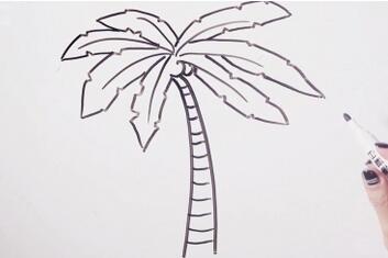 椰子树简笔画画法步骤