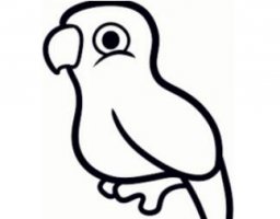 鹦鹉简笔画画法步骤图片_动物简笔画