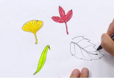 幼儿园树叶简笔画步骤图片