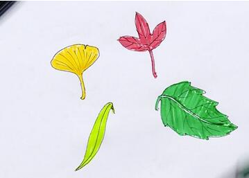 幼儿园树叶简笔画步骤图片