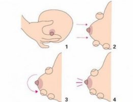 「挤奶方法」用手挤奶的正确手法图，新妈妈一定要看