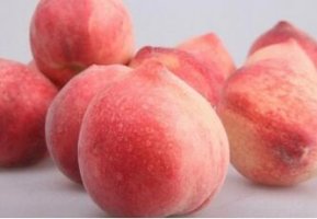 桃子属于什么种类的水果 桃子的功效与作用