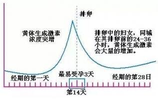 排卵试纸强阳