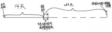 孕周计算