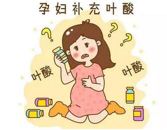 含叶酸的食物有哪些？如何补充叶酸？