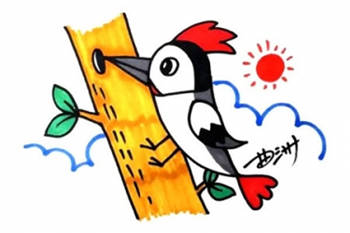 幼儿园彩色啄木鸟简笔画步骤图片