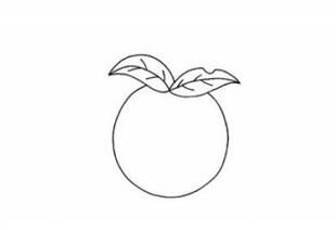 幼儿园卡通苹果简笔画步骤图片