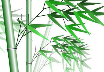 关于描写竹子的诗句