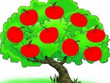 苹果树下的故事