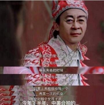 文体两开花是什么意思