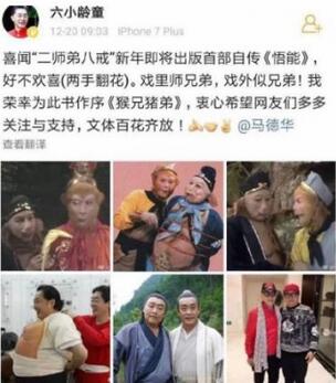 文体两开花是什么意思