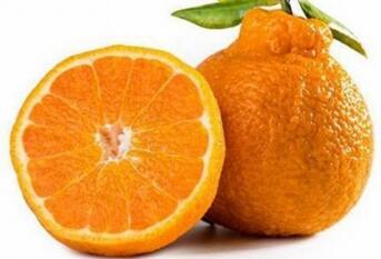 丑橘什么时候上市 几月份吃最好