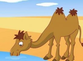 聪明的骆驼的胎教故事