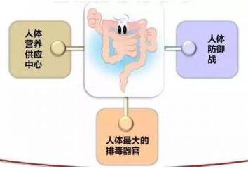 宝宝乳糖不耐受不能吃什么