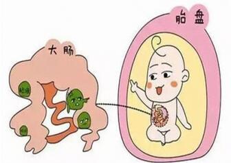 分娩吃什么能加快分娩产程