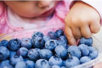宝宝可以吃蓝莓吗 蓝莓怎么吃