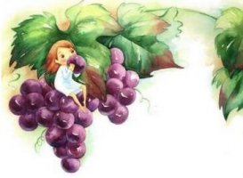 孕期爸爸胎教故事：种葡萄的老人