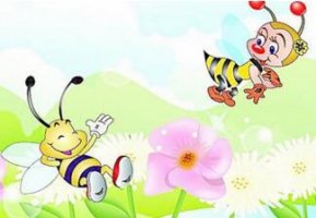 小蜜蜂与油菜花的故事