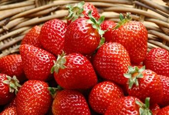 孕期血糖高可以吃什么水果