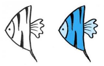 幼儿园彩色热带鱼简笔画步骤图片