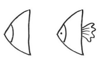 幼儿园彩色热带鱼简笔画步骤图片