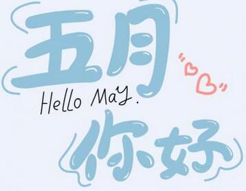 may i love you是什么梗