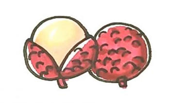 幼儿园彩色水果荔枝简笔画步骤图片