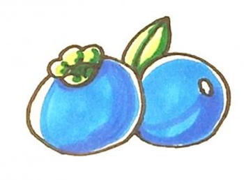 幼儿园水果蓝莓简笔画步骤图片