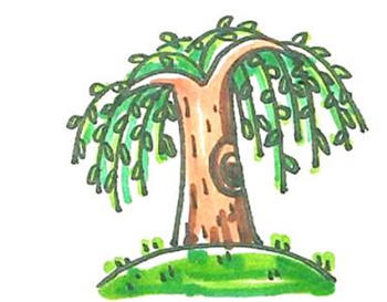 幼儿园彩色柳树简笔画步骤图片