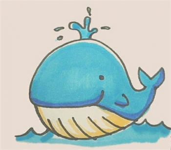 彩色可爱鲸鱼简笔画教程图片
