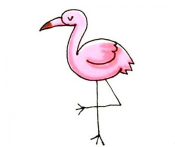 粉红色的火烈鸟简笔画教程图片