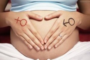 怀孕几个月能看出胎儿性别