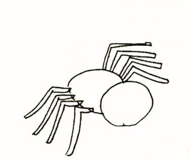 卡通可爱蜘蛛的简笔画步骤图片