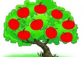 苹果的故事：红红的苹果 