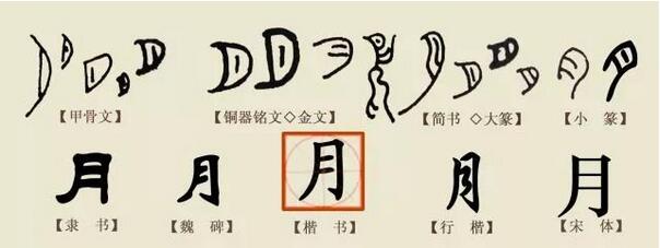 文字的演变过程、来历起源，5本书探秘文字背后的秘密