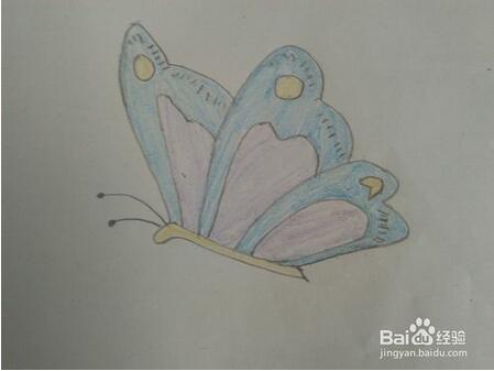 幼儿园简单蝴蝶简笔画教程图片