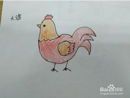 大公鸡的简笔画步骤图片