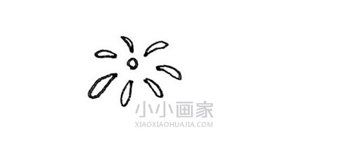 彩色烟花简笔画画法图片步骤- www.xiaoxiaohuajia.com