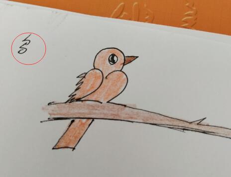 怎么画小鸟？简单小鸟简笔画怎么快速画