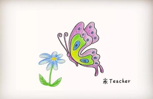 两种蝴蝶简笔画画法教程图片