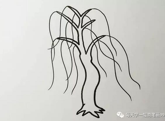 柳树简笔画彩色画法步骤