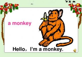 猴子的英文单词怎么写 monkey怎么读