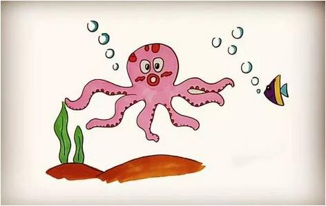 章鱼简笔画教程图片 海洋生物简笔画