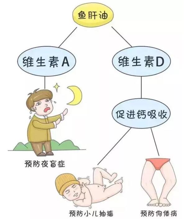 鱼油和鱼肝油的区别是什么