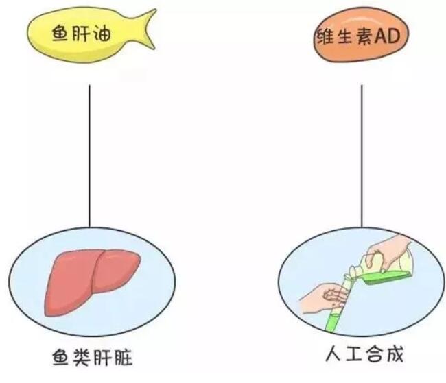 鱼油和鱼肝油的区别是什么