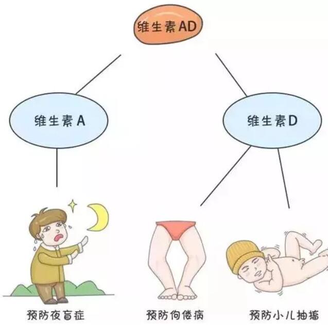 鱼油和鱼肝油的区别是什么