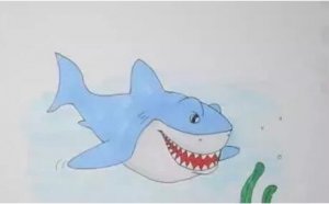 鲨鱼简笔画教程图片